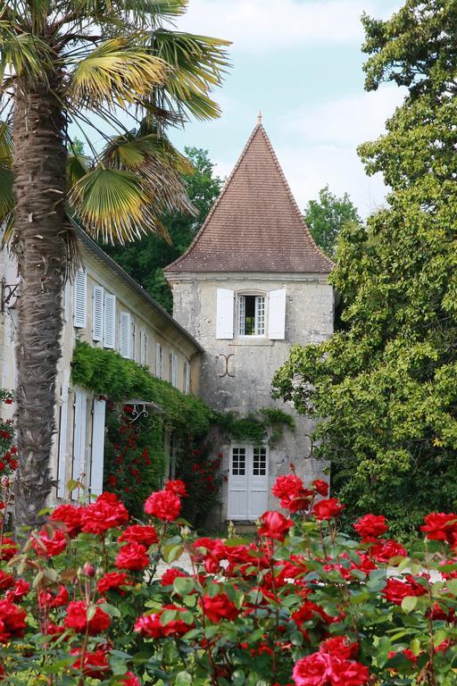 Chateau De Puyrigaud Bed and Breakfast Léoville Εξωτερικό φωτογραφία
