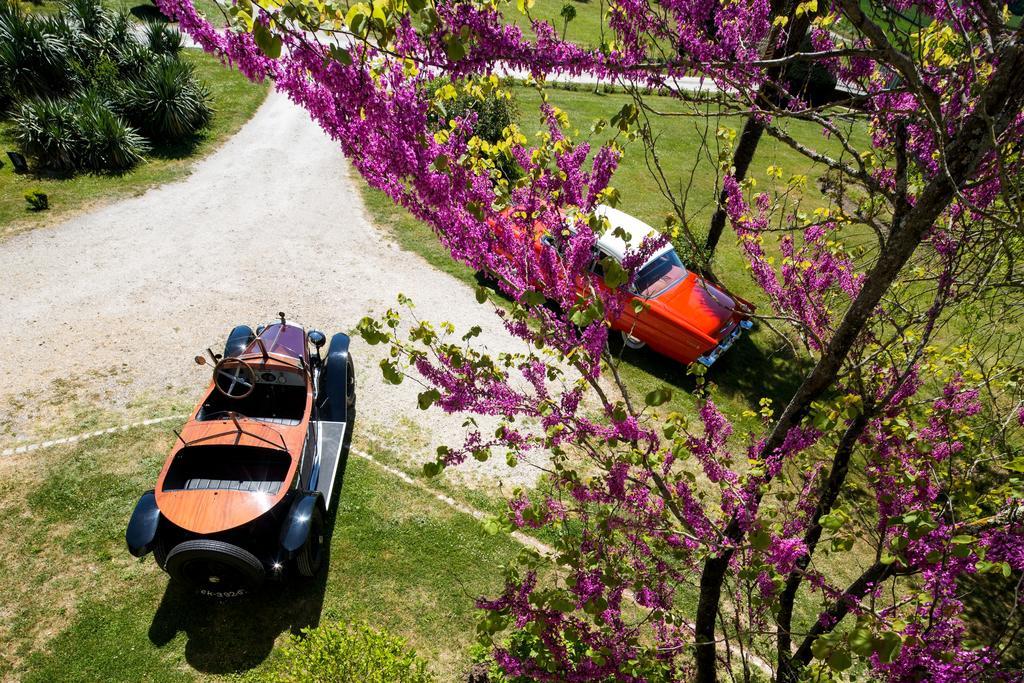 Chateau De Puyrigaud Bed and Breakfast Léoville Εξωτερικό φωτογραφία